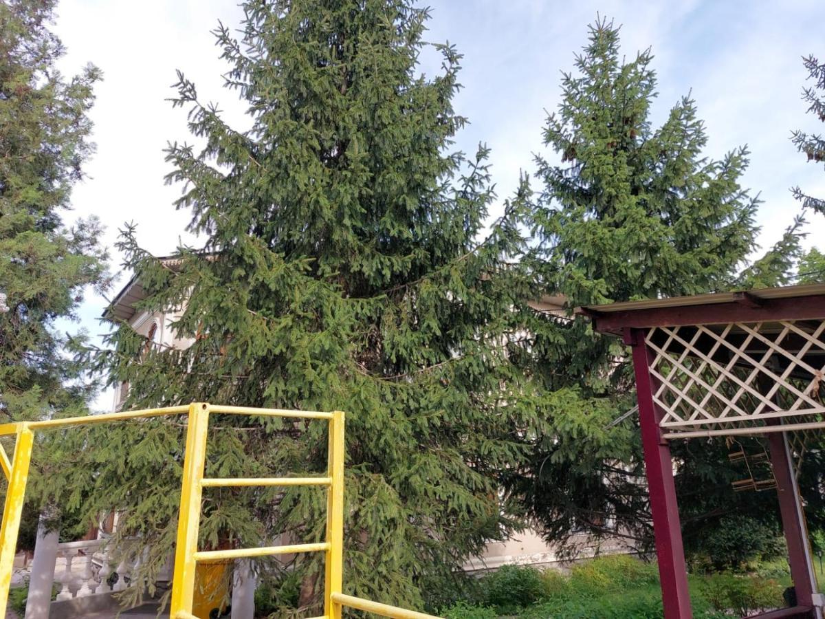 Room Hostel Dostyk Αλμάτι Εξωτερικό φωτογραφία